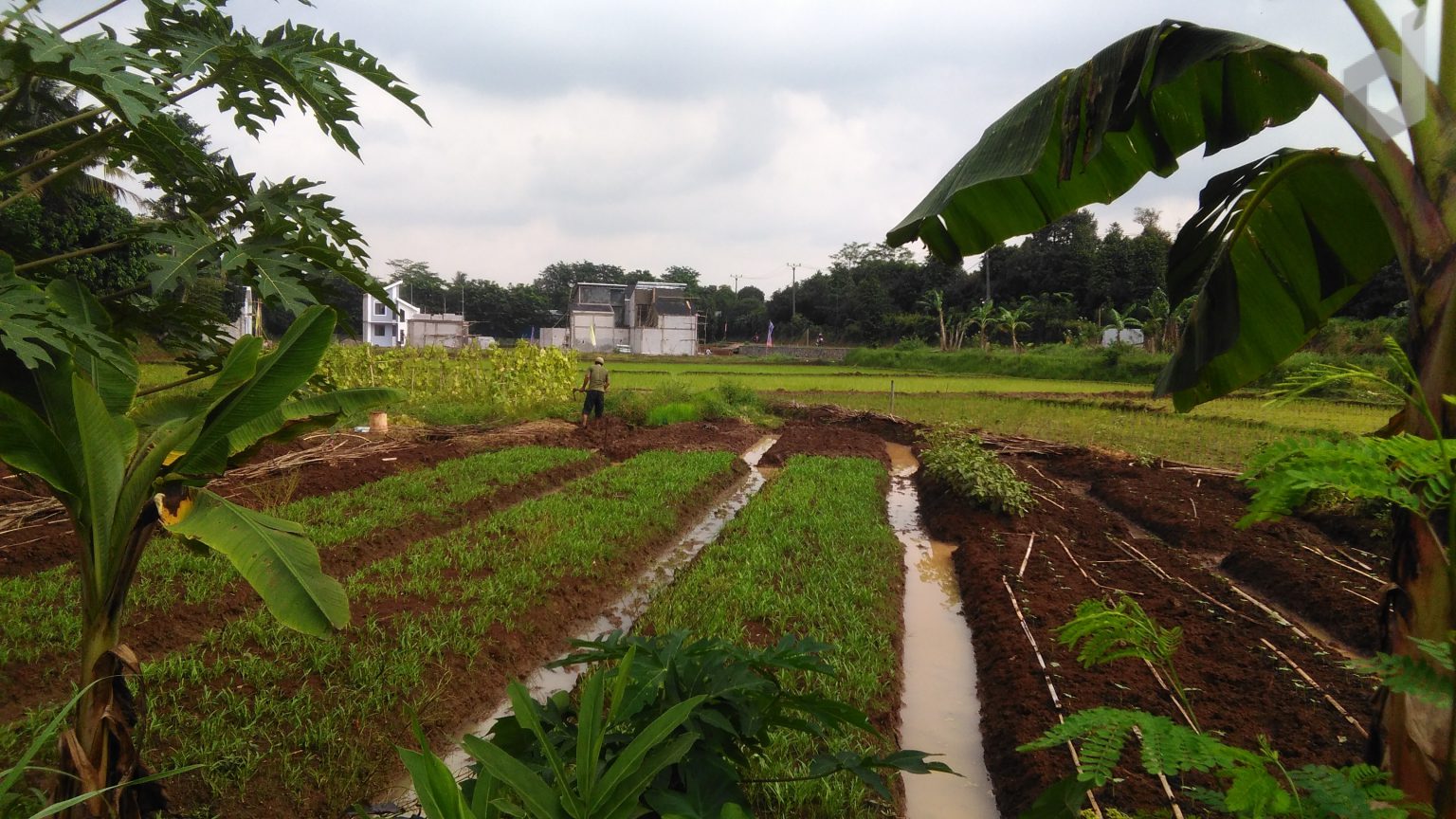 Pertanian Kabupaten Bekasi