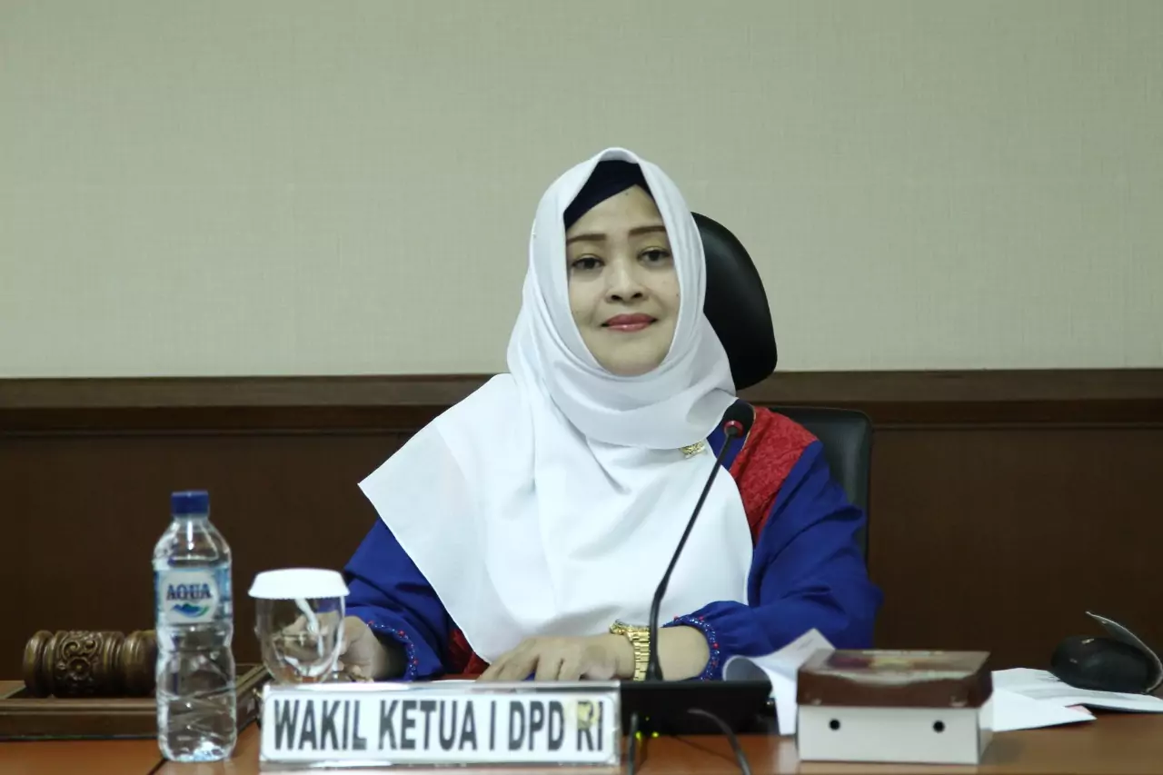 Komite I DPD RI Menggelar RDPU dengan Perludem dan TePI - Desapedia