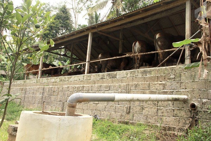 5 Desa yang Menerapkan Transisi Energi Biogas - Desapedia
