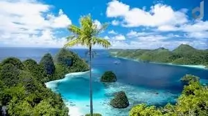 5 Desa yang Menerapkan Transisi Energi Biogas - Desapedia