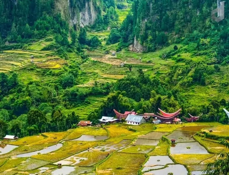 Didukung Organisasi Masyarakat Sipil, KH. Ma’ruf Amin Diyakini Akan Mendorong Penyerapan Dana Desa Menjadi Lebih Baik - Desapedia