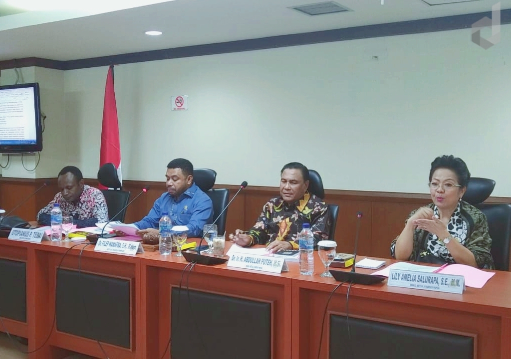 Pansus Papua DPD RI Rumuskan Prioritas Isu dan Kesimpulan Sementara - Desapedia