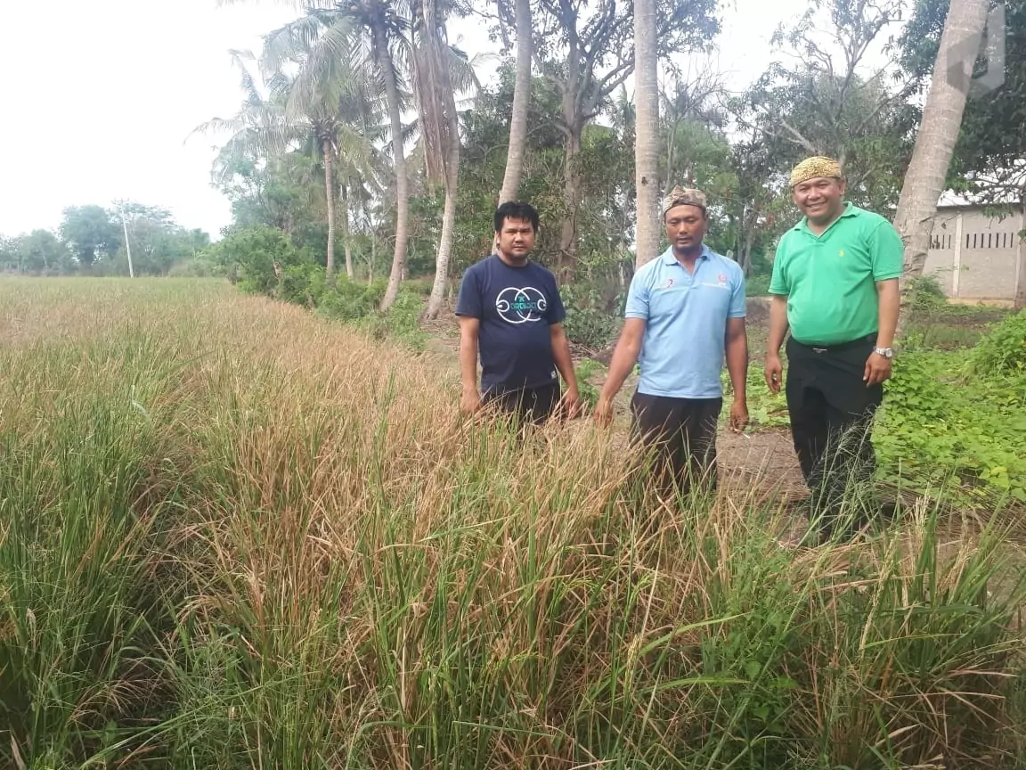 Temui Petani Binaannya di Desa Suka Karya, KPPI Ungkap Resiko Menanam Padi - Desapedia