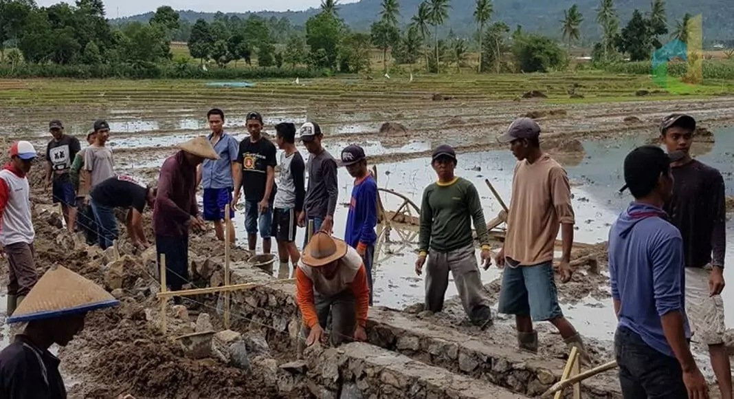 Program Padat Karya Tunai Desa