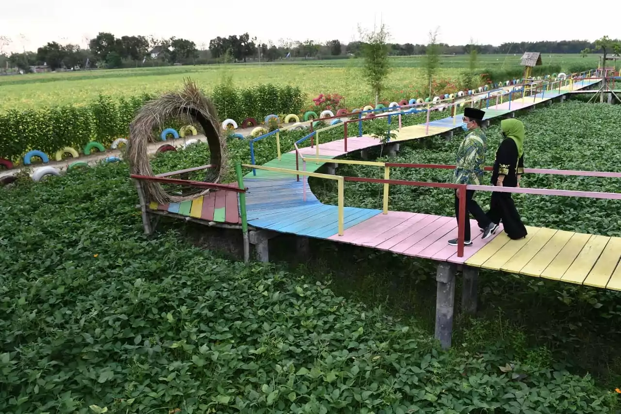 Desa Wisata yang Dikelola BUMDes Ini Targetkan Pendapatan Rp 1 Miliar Per Tahun - Desapedia