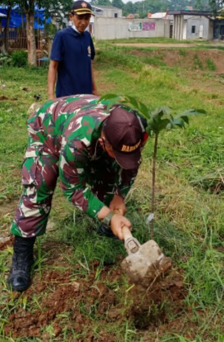 Babinsa Koramil 06/Setu Ikut Aksi Gerakan Sejuta Pohon di Situ Burangkeng - Desapedia