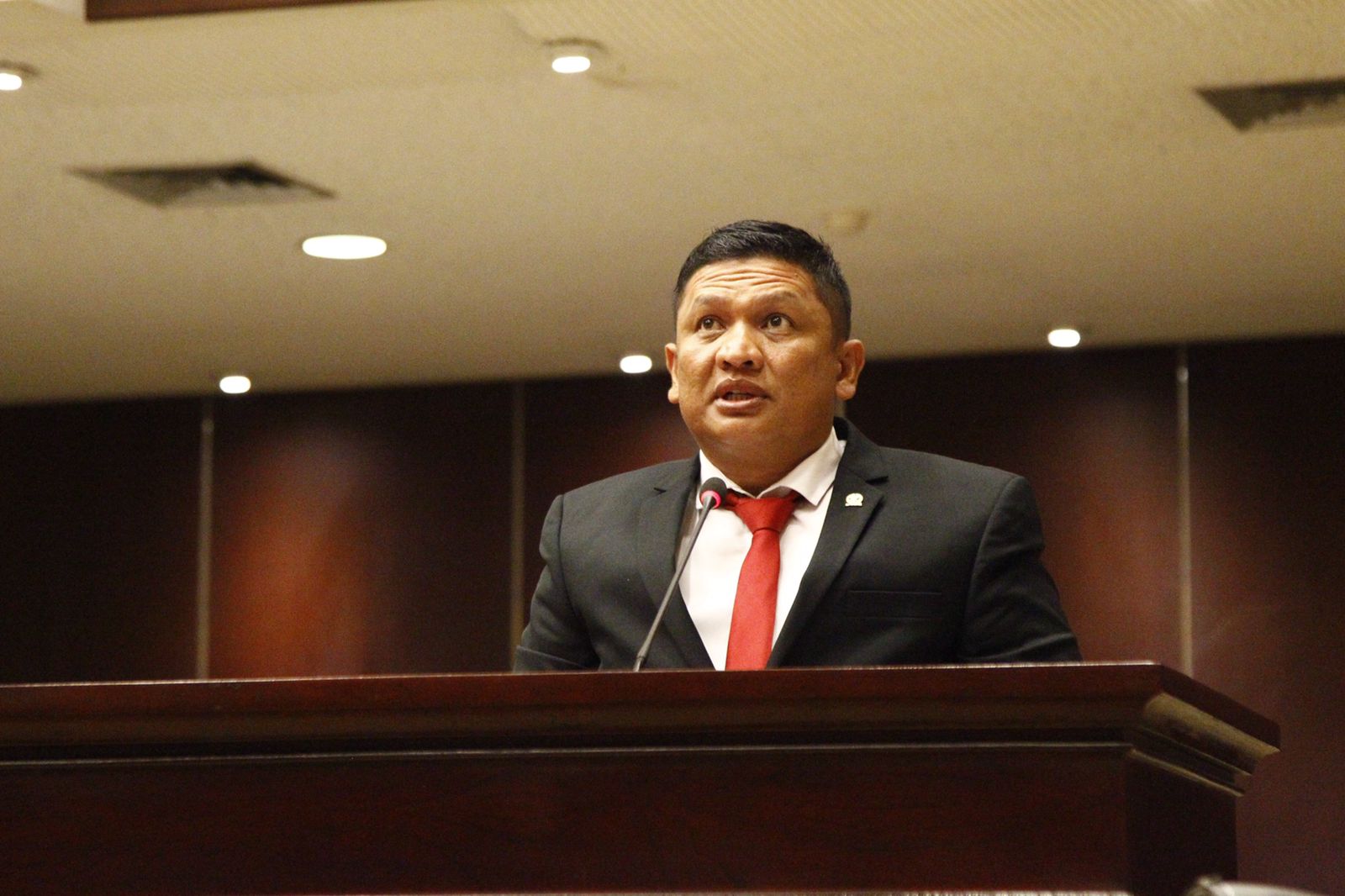 Di Sidang Paripurna, Senator DPD RI Asal Kaltara Sampaikan Aspirasi Soal UU Desa  - Desapedia